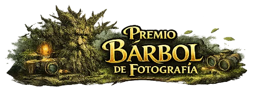 Premio Bárbol de Fotografía
