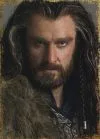 Nueva imagen de Thorin Escudo de Roble