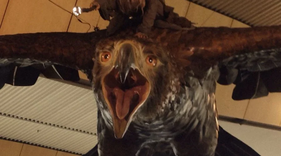 ¡Gwaihir se adueña del aeropuerto de Wellington! -ACTUALIZADO-