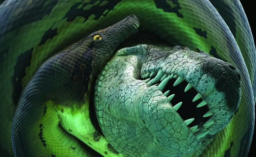 Bautizan a un cococrilo prehistórico en honor a JRR Tolkien