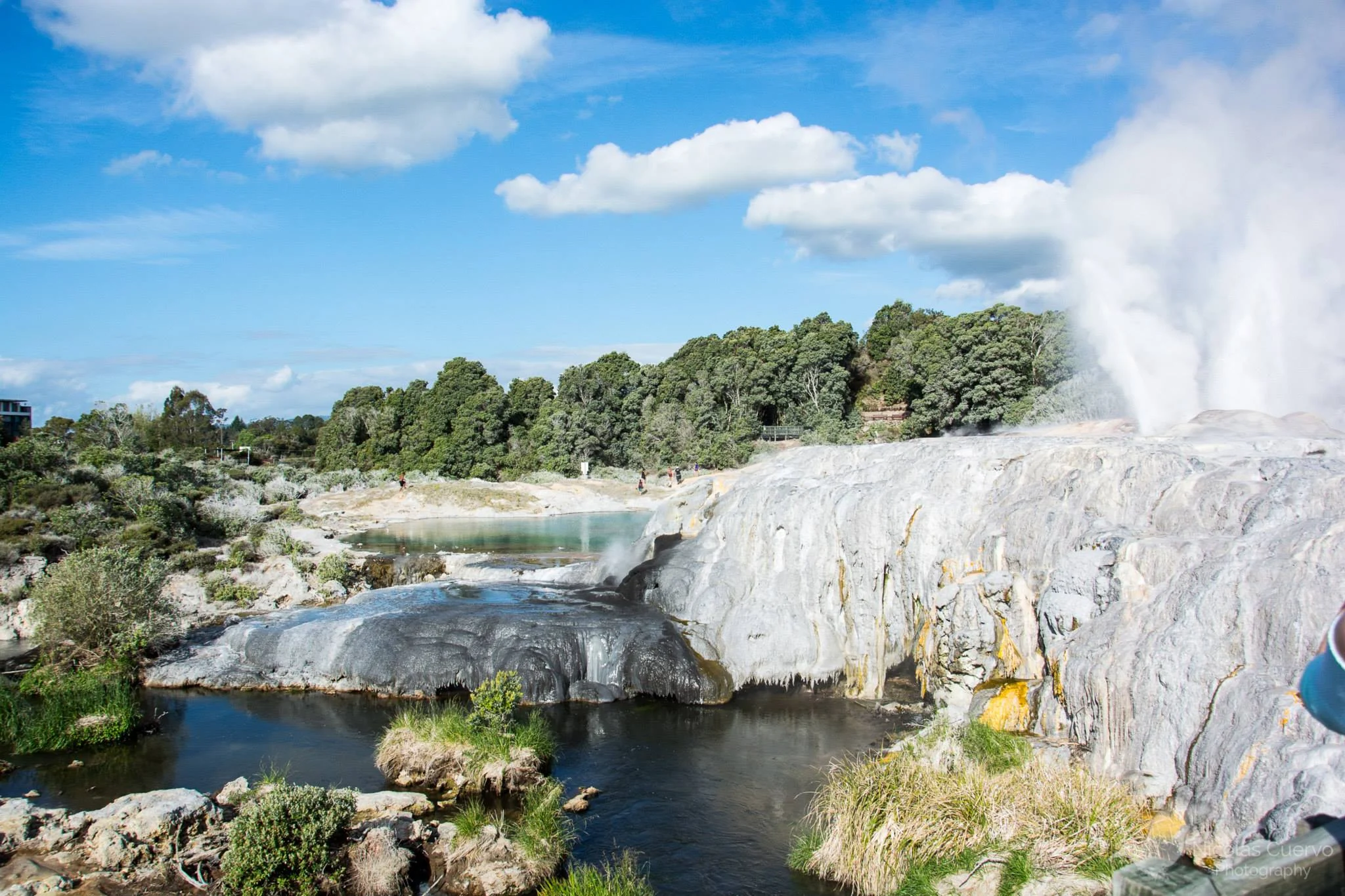 Géiseres en Rotorua