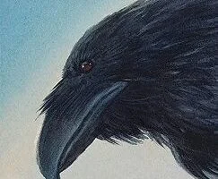 Hoy en la Tierra Media: 8 de enero