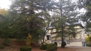 El albergue "El Colladito" de Cercedilla acogerá la II Mereth Cenagosa: Coronación Albergue "El Colladito" de Cercedilla