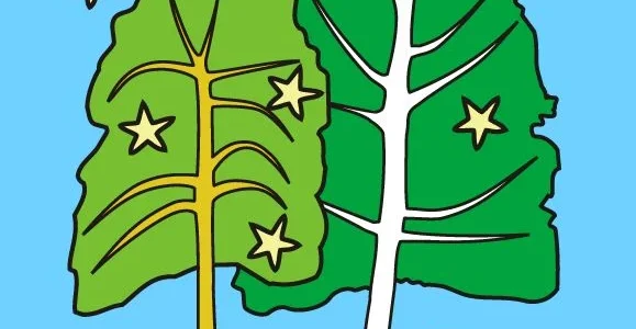 Ganadores de los premios de The Tolkien Society 2018