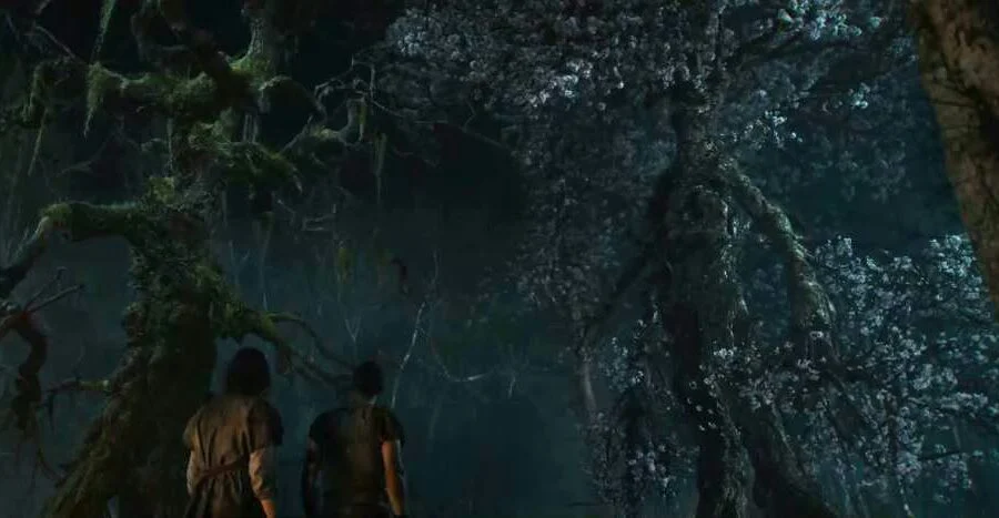 Árbol, raíz y rama. La historia de los Ents