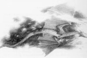 Ataque de Smaug