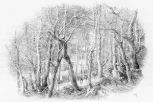 El Bosque