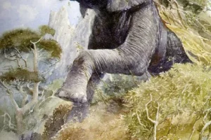 Olifante