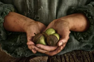 Póster promocional Los Anillos de Poder