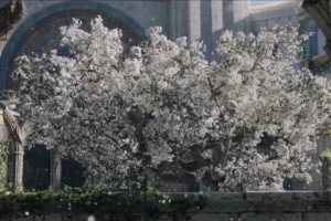 7-Arbol-Blanco