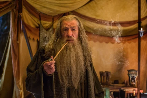 Gandalf reflexiona en la tienda de Thranduil