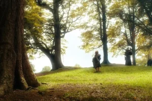 Bilbo y Gandalf se despiden
