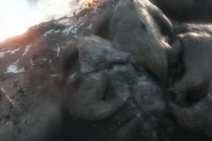 Aparecen los Devoradores de Tierra