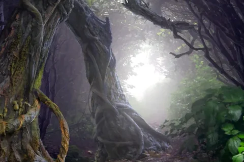 Treebeard1