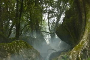 Localización del Bosque de los Trolls1