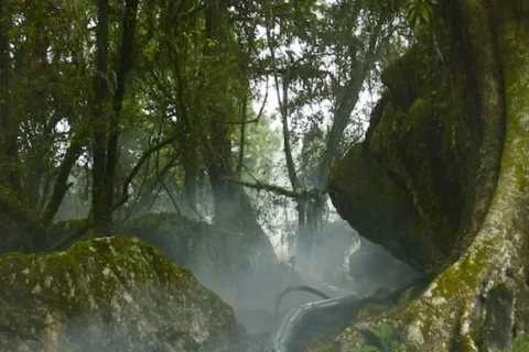 Localización del Bosque de los Trolls1