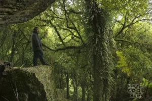 Peter Jackson en el Bosque de los Trolls