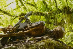 Localización del Bosque de los Trolls2