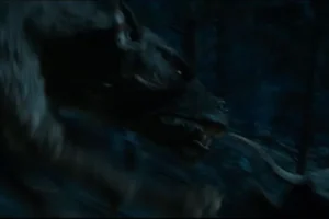 Los Wargos, al ataque