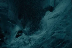 Los Enanos capturados por las Arañas