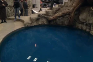El jacuzzi de Thranduil