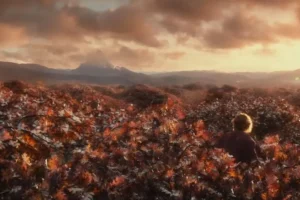 Bilbo ve la Montaña Solitaria