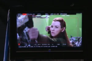 Evangeline Lilly en plena lucha con las Arañas