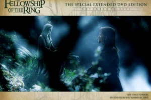 dvd_aragorn_800
