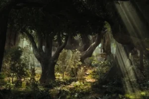 El Bosque Negro