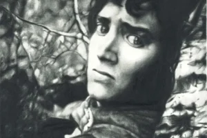frodo_y_su_aflic
