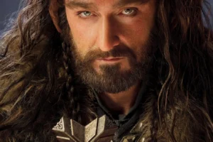 Thorin Escudo de Roble