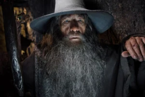 Gandalf y Radagast