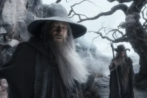 Gandalf y Radagast en los Altos Páramos
