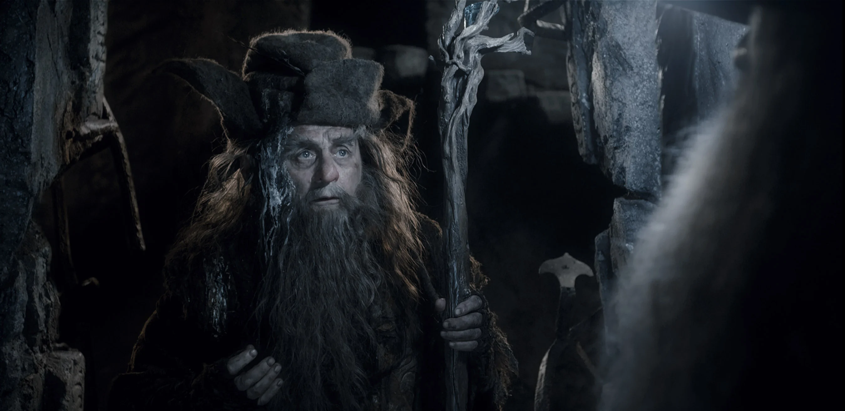 Radagast en los Altos Páramos