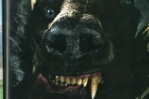 Beorn transformado en oso