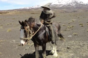 Gandalf a caballo