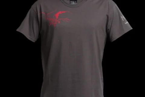 Camiseta de Smaug