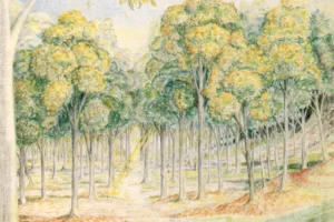Lothlórien