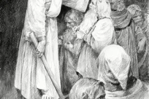 lotrF249