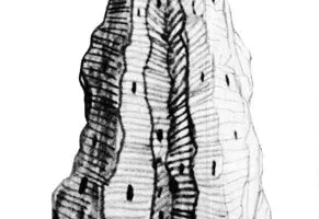 Orthanc