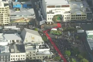 La alfombra roja de la premiere