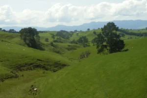 Granja Alexander
