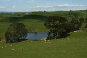 Hobbiton desde la colina