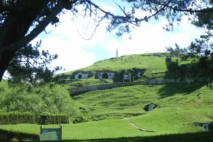 Bolsón Cerrado