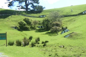 Agujeros hobbits