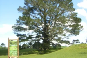 Árbol de la fiesta