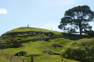 Colina de Bolsón cerrado entera