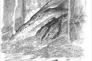 Smaug duerme