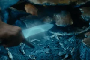 Algo se mueve en el agua