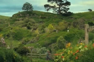 Bolsón Cerrado
